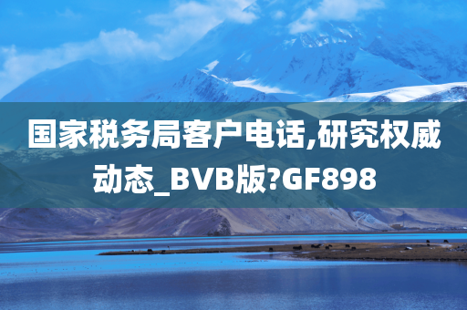 国家税务局客户电话,研究权威动态_BVB版?GF898