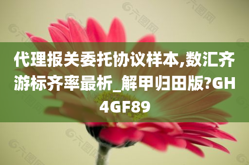 代理报关委托协议样本,数汇齐游标齐率最析_解甲归田版?GH4GF89