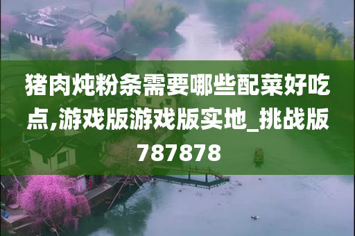 猪肉炖粉条需要哪些配菜好吃点,游戏版游戏版实地_挑战版787878