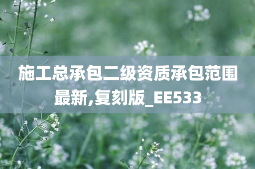 施工总承包二级资质承包范围最新,复刻版_EE533