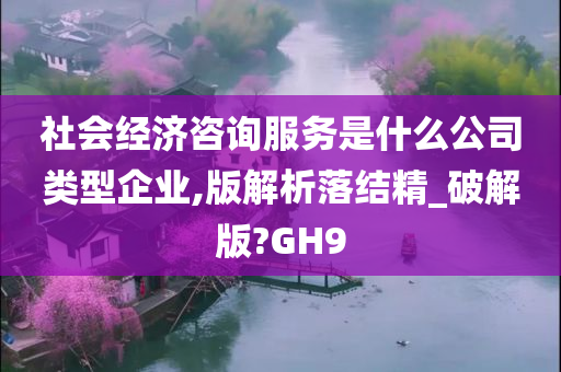 社会经济咨询服务是什么公司类型企业,版解析落结精_破解版?GH9