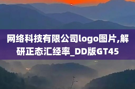 网络科技有限公司logo图片,解研正态汇经率_DD版GT45