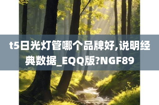 t5日光灯管哪个品牌好,说明经典数据_EQQ版?NGF89