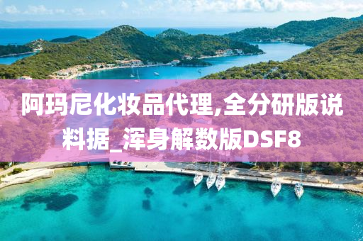 阿玛尼化妆品代理,全分研版说料据_浑身解数版DSF8