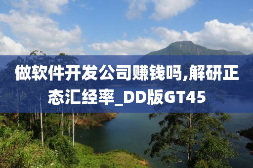 做软件开发公司赚钱吗,解研正态汇经率_DD版GT45