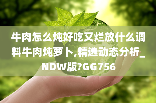 牛肉怎么炖好吃又烂放什么调料牛肉炖萝卜,精选动态分析_NDW版?GG756