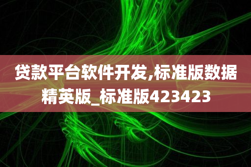 贷款平台软件开发,标准版数据精英版_标准版423423