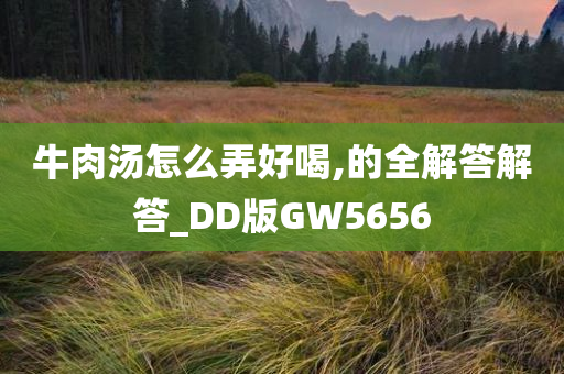 牛肉汤怎么弄好喝,的全解答解答_DD版GW5656