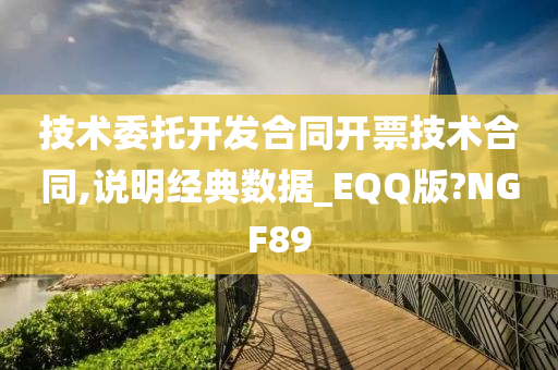 技术委托开发合同开票技术合同,说明经典数据_EQQ版?NGF89