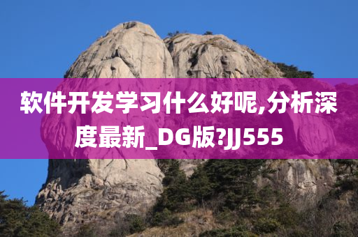 软件开发学习什么好呢,分析深度最新_DG版?JJ555