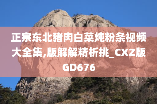 正宗东北猪肉白菜炖粉条视频大全集,版解解精析挑_CXZ版GD676