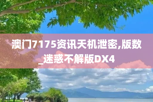 澳门7175资讯天机泄密,版数_迷惑不解版DX4