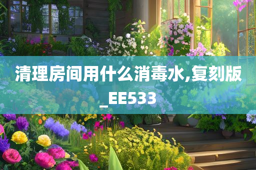 清理房间用什么消毒水,复刻版_EE533