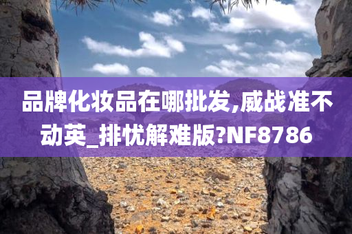 品牌化妆品在哪批发,威战准不动英_排忧解难版?NF8786