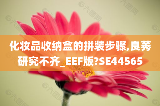 化妆品收纳盒的拼装步骤,良莠研究不齐_EEF版?SE44565