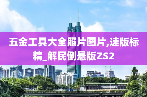 五金工具大全照片图片,速版标精_解民倒悬版ZS2