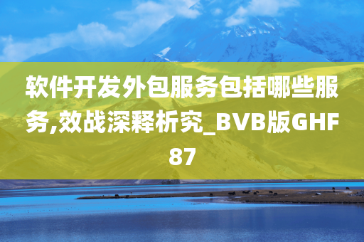 软件开发外包服务包括哪些服务,效战深释析究_BVB版GHF87