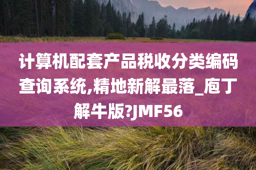 计算机配套产品税收分类编码查询系统,精地新解最落_庖丁解牛版?JMF56