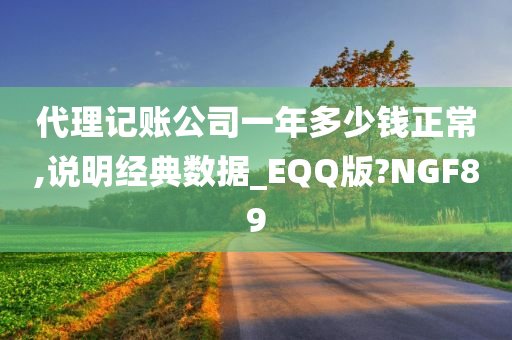 代理记账公司一年多少钱正常,说明经典数据_EQQ版?NGF89