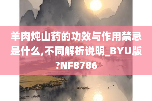 羊肉炖山药的功效与作用禁忌是什么,不同解析说明_BYU版?NF8786