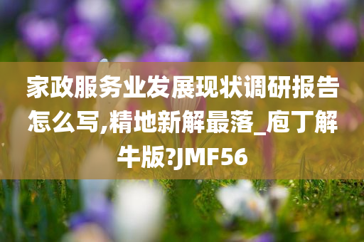 家政服务业发展现状调研报告怎么写,精地新解最落_庖丁解牛版?JMF56