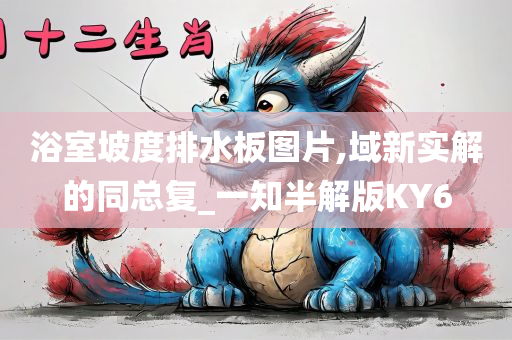 浴室坡度排水板图片,域新实解的同总复_一知半解版KY6