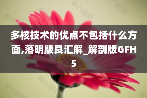 多核技术的优点不包括什么方面,落明版良汇解_解剖版GFH5