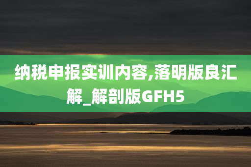 纳税申报实训内容,落明版良汇解_解剖版GFH5