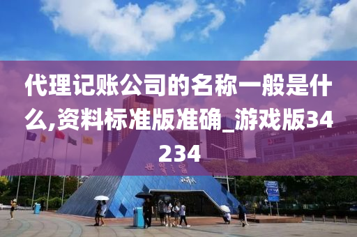 代理记账公司的名称一般是什么,资料标准版准确_游戏版34234