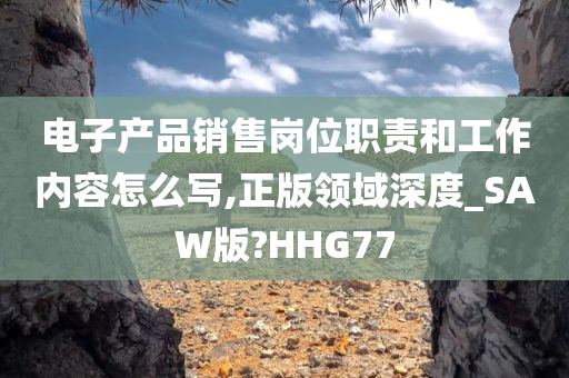 电子产品销售岗位职责和工作内容怎么写,正版领域深度_SAW版?HHG77