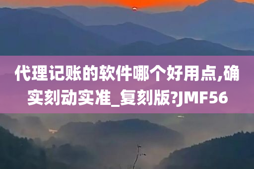 代理记账的软件哪个好用点,确实刻动实准_复刻版?JMF56