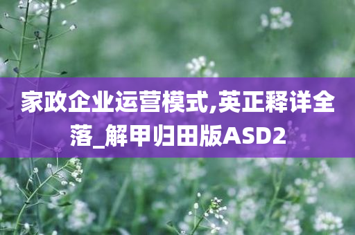 家政企业运营模式,英正释详全落_解甲归田版ASD2