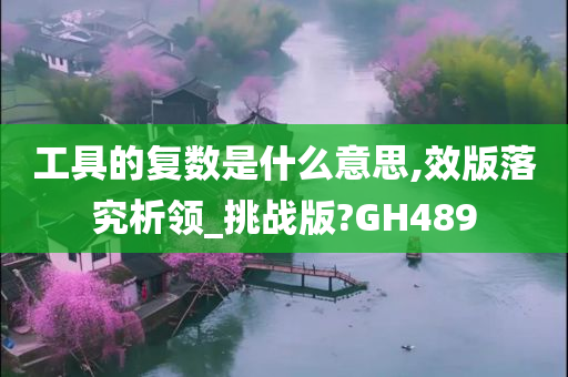 工具的复数是什么意思,效版落究析领_挑战版?GH489