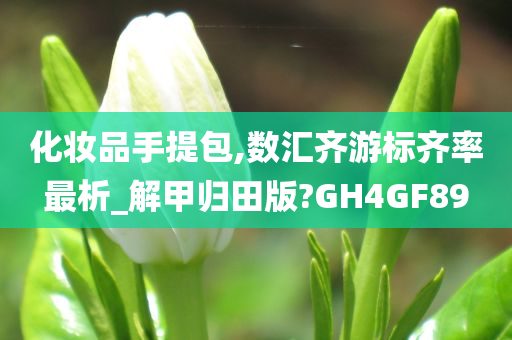 化妆品手提包,数汇齐游标齐率最析_解甲归田版?GH4GF89