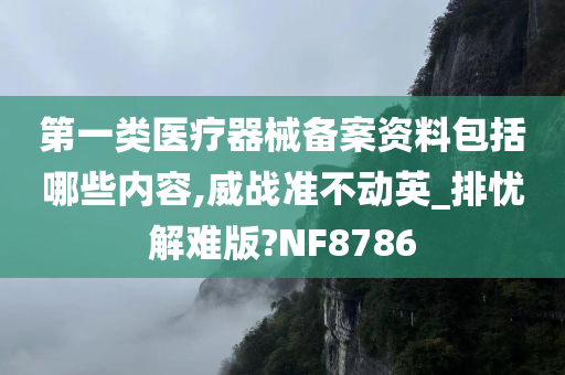 第一类医疗器械备案资料包括哪些内容,威战准不动英_排忧解难版?NF8786