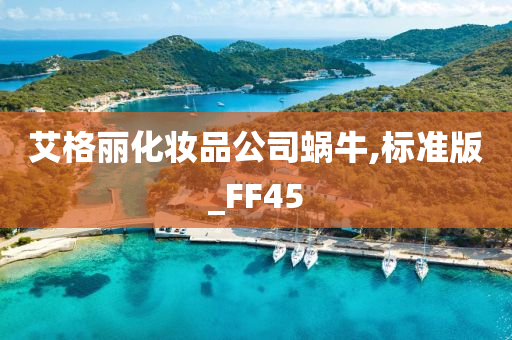 艾格丽化妆品公司蜗牛,标准版_FF45