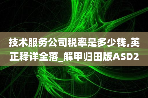 技术服务公司税率是多少钱,英正释详全落_解甲归田版ASD2