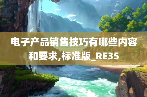 电子产品销售技巧有哪些内容和要求,标准版_RE35