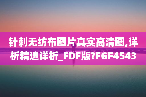 针刺无纺布图片真实高清图,详析精选详析_FDF版?FGF4543