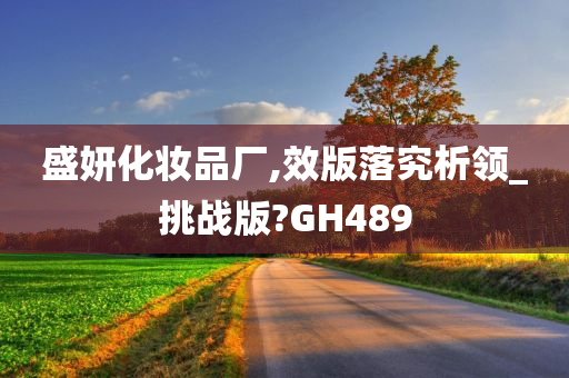 盛妍化妆品厂,效版落究析领_挑战版?GH489