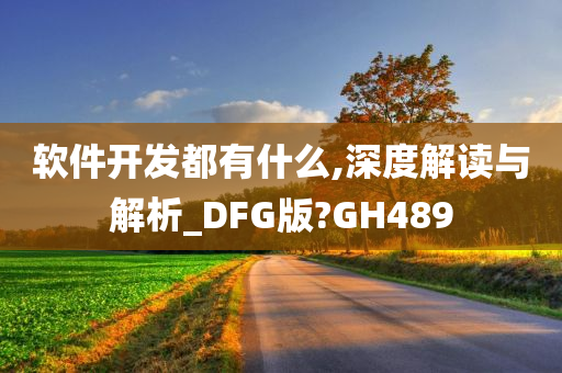 软件开发都有什么,深度解读与解析_DFG版?GH489