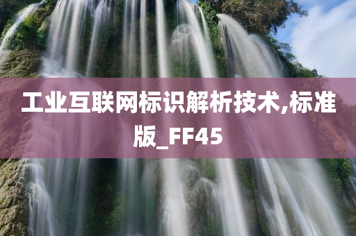 工业互联网标识解析技术,标准版_FF45