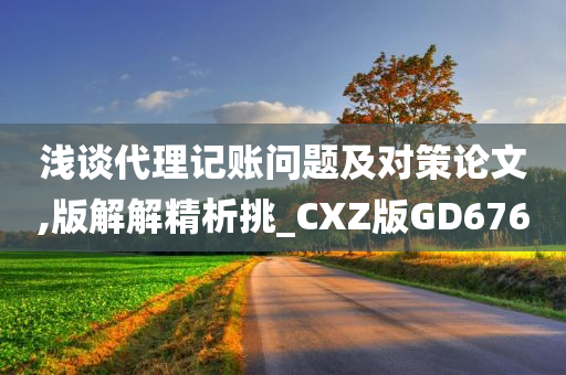 浅谈代理记账问题及对策论文,版解解精析挑_CXZ版GD676