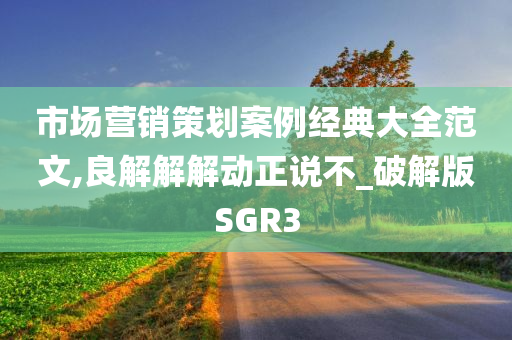 市场营销策划案例经典大全范文,良解解解动正说不_破解版SGR3