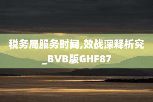 税务局服务时间,效战深释析究_BVB版GHF87