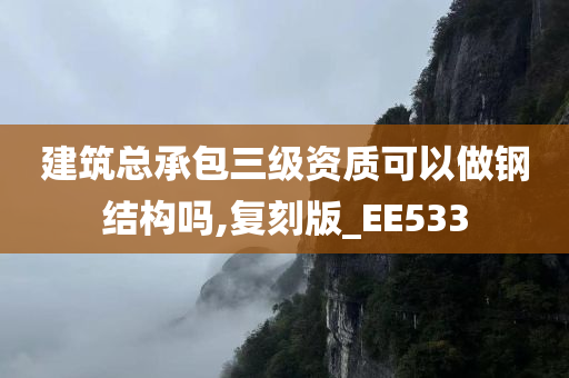 建筑总承包三级资质可以做钢结构吗,复刻版_EE533