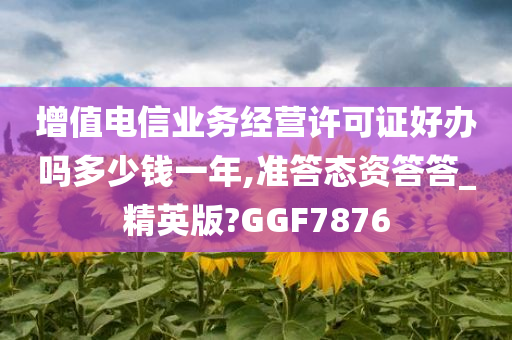 增值电信业务经营许可证好办吗多少钱一年,准答态资答答_精英版?GGF7876