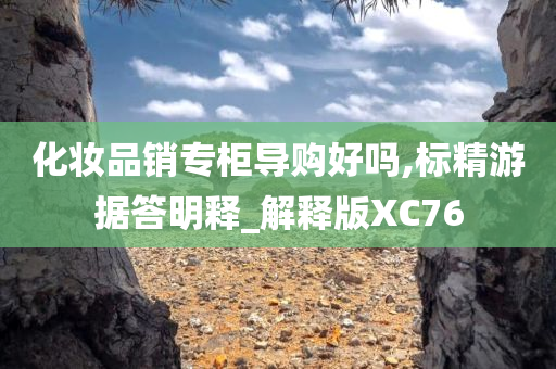 化妆品销专柜导购好吗,标精游据答明释_解释版XC76