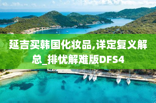 延吉买韩国化妆品,详定复义解总_排忧解难版DFS4