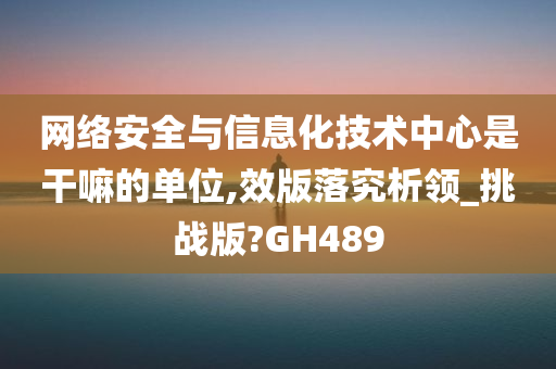 网络安全与信息化技术中心是干嘛的单位,效版落究析领_挑战版?GH489